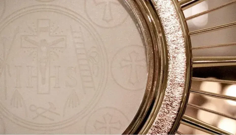 Our daily bread - The Lavender Gaze