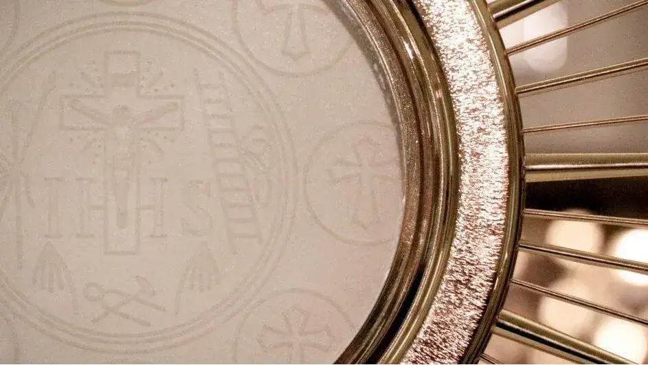 Our daily bread - The Lavender Gaze