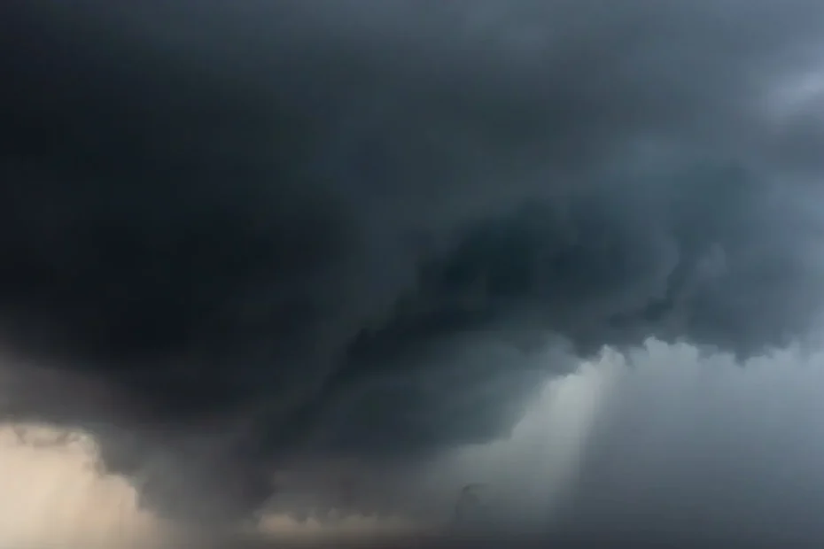 Facing the hurricane - The Lavender Gaze