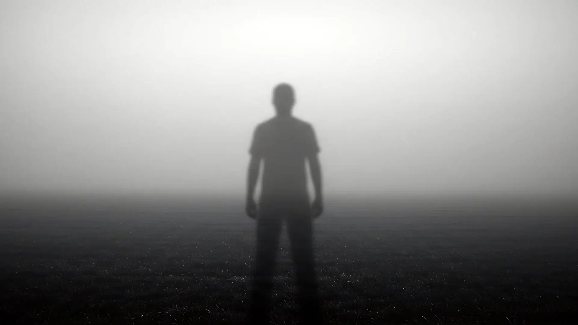 Nowhere - The Lavender Gaze